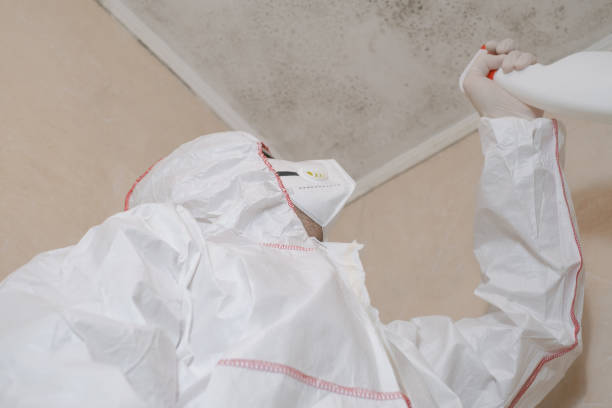 Best Crawl Space Mold Removal  in Plymouth, MI